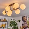 Chehalis Plafoniera, Lampada a sfera Bianco, 8-Luci