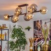 Gastor Plafoniera, Lampada a sfera Ambrato, Grigio fumo, 10-Luci