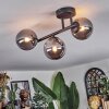 Chehalis Plafoniera, Lampada a sfera Grigio fumo, 3-Luci