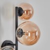 Chehalis Lampada a sfera, Applique Ambrato, 3-Luci