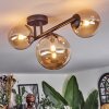 Chehalis Plafoniera, Lampada a sfera Ambrato, 3-Luci