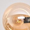 Gastor Plafoniera, Lampada a sfera Ambrato, 6-Luci