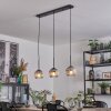 Ripoll Lampadario a sospensione, Lampada a sfera, Lampada a sospensione Chiaro, Grigio fumo, 3-Luci