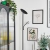 Dillingby Lampada da terra LED Nero, 2-Luci
