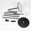 Dillingby Lampada da terra LED Nero, 2-Luci