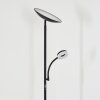 Dillingby Lampada da terra LED Nero, 2-Luci