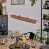 Fugelsta Lampadario a sospensione, Lampada a sospensione LED Nero, 1-Luce