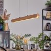 Fugelsta Lampadario a sospensione, Lampada a sospensione LED Nero, 1-Luce