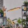 Fugelsta Lampadario a sospensione, Lampada a sospensione LED Nero, 1-Luce