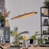 Fugelsta Lampadario a sospensione, Lampada a sospensione LED Nero, 1-Luce