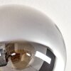 Gastor Plafoniera, Lampada a sfera Grigio fumo, 10-Luci