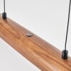 Fugelsta Lampadario a sospensione, Lampada a sospensione LED Nero, 1-Luce