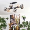 Gastor Plafoniera, Lampada a sfera Ambrato, Chiaro, Grigio fumo, 6-Luci