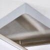 Eriz Plafoniera LED Nichel opaco, 4-Luci, Telecomando, Cambia colore