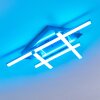 Eriz Plafoniera LED Nichel opaco, 4-Luci, Telecomando, Cambia colore