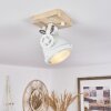 Herford Plafoniera Écru, Bianco, 1-Luce