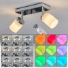 Cerejeiras Plafoniera LED Cromo, 2-Luci, Telecomando, Cambia colore