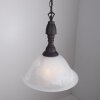 Reality Lampadario a sospensione Marrone, Ruggine, Bianco, 1-Luce