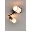 Reality Faretto da soffitto Acciaio inox, Bianco