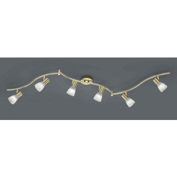 Trio LEVISTO Faretto da soffitto LED Ottone, 6-Luci