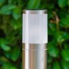 TOLSONA Lampioncino Segnapasso Acciaio inox, 1-Luce