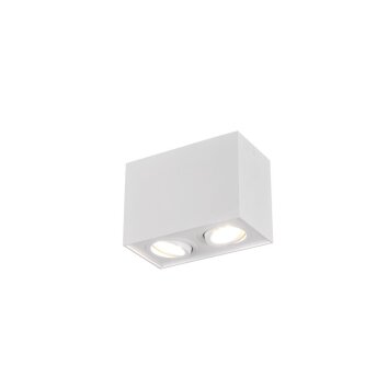 Plafoniera Trio Leuchten BISCUIT Bianco, 2-Luci