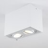 Baishan Plafoniera LED Bianco, 2-Luci