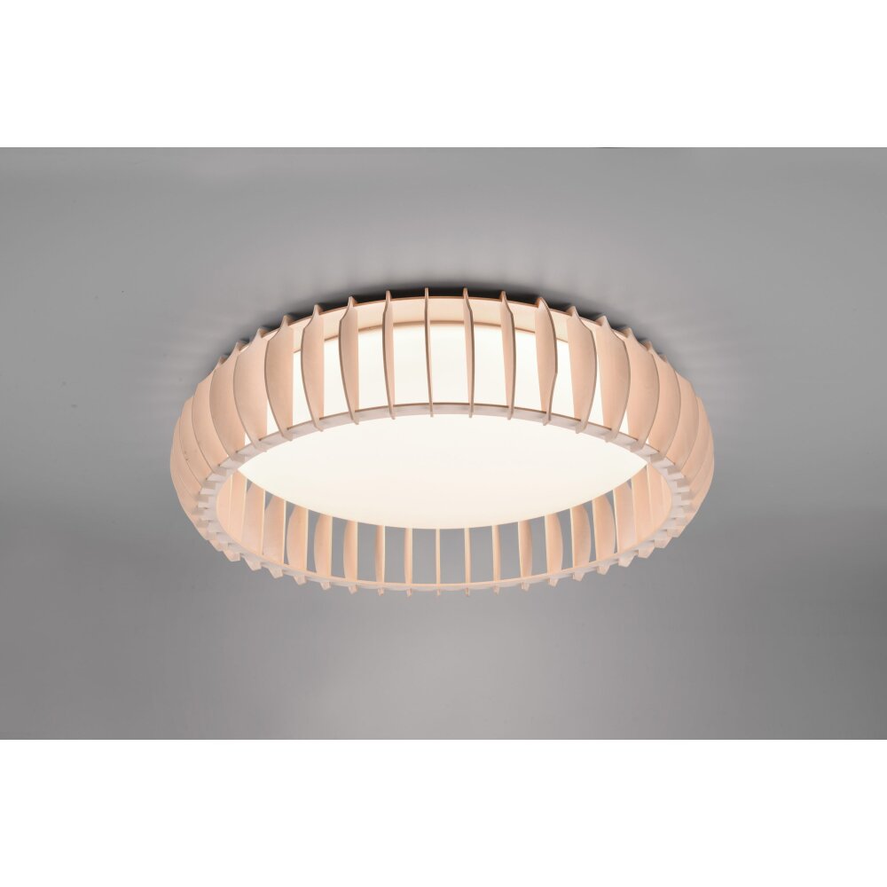 Reality Monte Plafoniera LED Bianco, 1-Luce, Telecomando main product photo