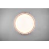 Reality Monte Plafoniera LED Bianco, 1-Luce, Telecomando