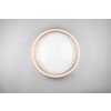 Reality Monte Plafoniera LED Bianco, 1-Luce, Telecomando