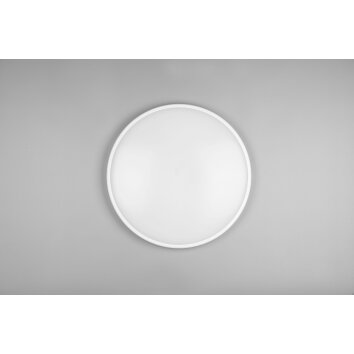 Reality Limbus Plafoniera LED Bianco, 1-Luce