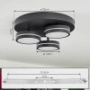 Huallilemu Plafoniera LED Nero, 3-Luci