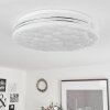 Savardeix Plafoniera LED Cromo, Bianco, 1-Luce, Telecomando, Cambia colore
