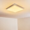 Voisines Plafoniera LED Bianco, 1-Luce, Telecomando, Cambia colore