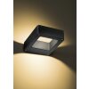 Illuminazione Trio Leuchten RENO Lampada da parete per esterno, Applique LED Antracite, 1-Luce