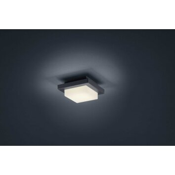 Illuminazione Trio Leuchten Decken- Plafoniera, Applique LED Antracite, 1-Luce