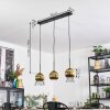 Koyoto Lampadario a sospensione, Lampada a sfera, Lampada a sospensione Oro, 3-Luci