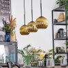 Ripoll Lampadario a sospensione, Lampada a sfera, Lampada a sospensione Oro, 3-Luci