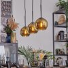 Koyoto Lampadario a sospensione, Lampada a sfera, Lampada a sospensione Oro, 3-Luci