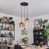 Ripoll Lampadario a sospensione, Lampada a sfera, Lampada a sospensione, Lampada a sospensione a cluster Cromo, Oro, Chiaro, Ramato, Grigio fumo, 3-Luci