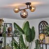 Chehalis Plafoniera, Lampada a sfera Ambrato, Grigio fumo, 3-Luci
