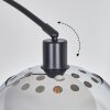 Baloca Lampada da terra Nero, 1-Luce