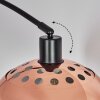 Baloca Lampada da terra Nero, 1-Luce