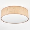 Antillo Plafoniera Marrone, Écru, Bianco, 3-Luci