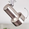 Edain Plafoniera, Faretto da soffitto LED Cromo, Nichel opaco, 1-Luce