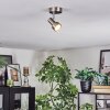 Edain Plafoniera, Faretto da soffitto LED Cromo, Nichel opaco, 1-Luce