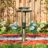 Tieva Lampada con piedistallo, Illuminazione viale Marrone, Oro, 1-Luce