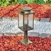 Tieva Lampada con piedistallo, Illuminazione viale Marrone, Oro, 1-Luce