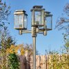 Tieva Lampione multibraccia, Illuminazione viale Marrone, Oro, 3-Luci