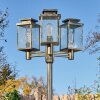Tieva Lampione multibraccia, Illuminazione viale Marrone, Oro, 3-Luci